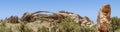 Landscape Arch Panorama - Arches National Park Royalty Free Stock Photo